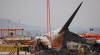 Experts reveal the 'almost criminal' error that 'caused so many to die in fiery South Korea plane crash' - and the puzzling signs about what triggered the disaster that killed 179