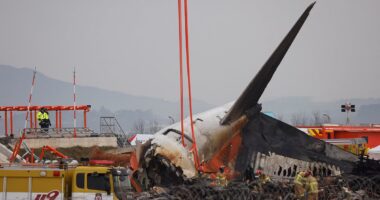 Experts reveal the 'almost criminal' error that 'caused so many to die in fiery South Korea plane crash' - and the puzzling signs about what triggered the disaster that killed 179