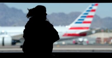 FAA halts all American Airlines flights in the US after airline reports technical issues systemwide