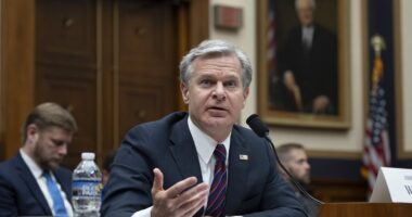 FBI Director Christopher Wray says he will resign after mounting pressure from Trump