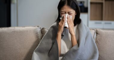 Surveillance programmes that monitor the UK's outbreak suggest flu hospital admissions in England have already surpassed last year's peak and are running at their highest level so far this winter