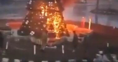 Fears for Christians in Syria as Christmas tree is burned down in first major sign the religious minority will be targeted after the fall of Assad - prompting protests in Damascus