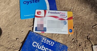 Fears for ‘BRIT victim’ of Assad’s torturers after IDs including Tesco Clubcard found in ‘human slaughterhouse’