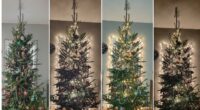 Feel-Good Friday: NY Teenager Creates a Spectacular Christmas Lights Show... With Discarded Ornaments