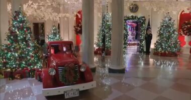 First Lady Jill Biden gives us an inside look at the White House's holiday decorations