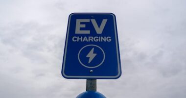 Five facts about electric vehicles in 2024