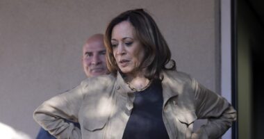 Flaherty: Kamala Harris' Struggle With Sports Media Signaled Her Loss in the Culture War