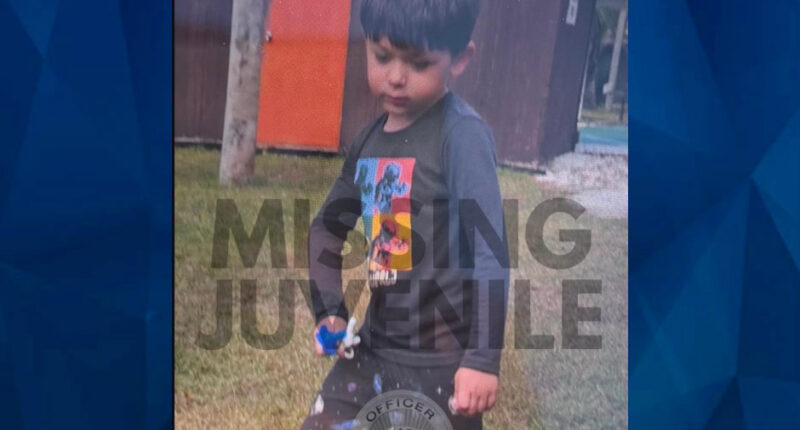 Florida Police Look for Missing 5-Year-Old Boy With Autism