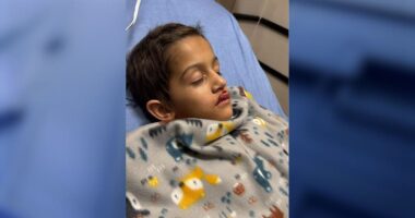 Florida boy has open heart surgery after being hit by drone at holiday show, parents say