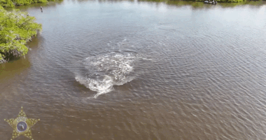 Florida officials rescue two dolphins stranded in shallow lagoon: 'All hands on deck'