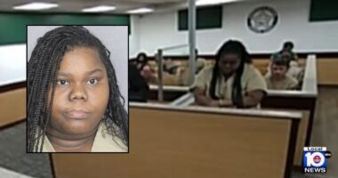 Florida woman arrested for hit-and-run appears in court