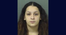 Florida woman behind bars for alleged 'serial shoplifting'