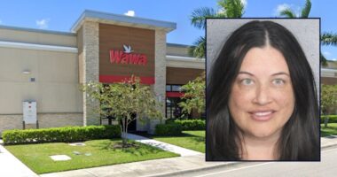 Florida woman runs good Samaritan into Wawa sign: Cops