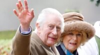 Full inside story of the royals' worst year revealed by REBECCA ENGLISH: How Charles' cancer led to 'Operation Delphinium', the truth about his health and just why he's so wary of talking to Harry