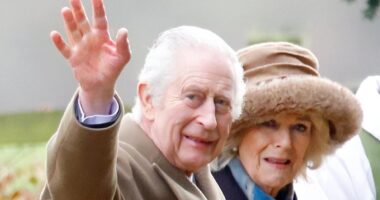 Full inside story of the royals' worst year revealed by REBECCA ENGLISH: How Charles' cancer led to 'Operation Delphinium', the truth about his health and just why he's so wary of talking to Harry