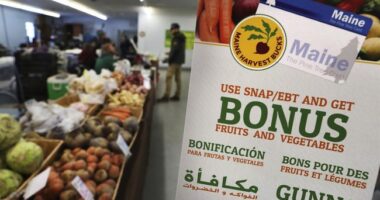 GOP Governor Seeks SNAP Reform: This Should Go National