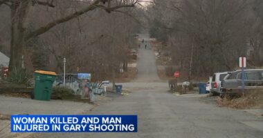 Gary shooting kills woman, critically injures husband at North Warren Street home; suspect stole vehicle, police say