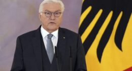 German President Frank-Walter Steinmeier