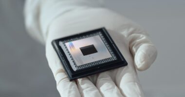 Google's 'mind-boggling' quantum chip can perform 'impossible' tasks in five minutes that take the fastest supercomputers 10 SEPTILLION years to complete