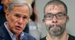 Greg Abbott blasts migrant accused of setting Texas home on fire with children inside: 'Locate & deport'