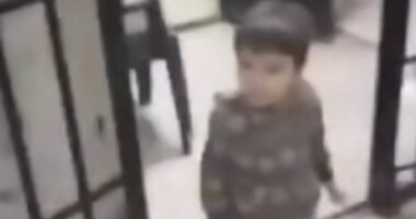 Heartbreaking moment TODDLER walks out of prison cell in Assad's 'human slaughterhouse' as Syrian rebels free inmates from jail where rape and torture is endemic - and 13,000 were executed by the regime