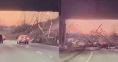 Horror moment car is smashed off road by barrage of wooden planks falling off truck in real life Final Destination crash