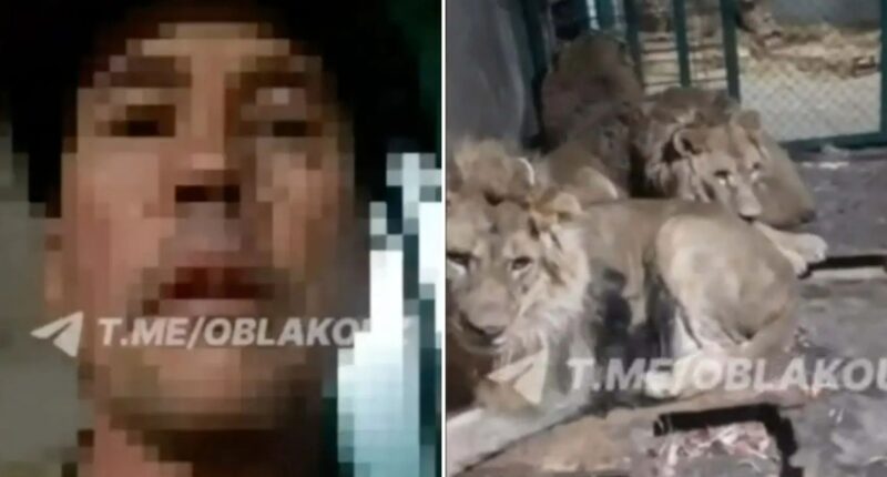 Horror moment zookeeper is mauled to death by lions after climbing into cage for selfie video ‘to impress girlfriend’