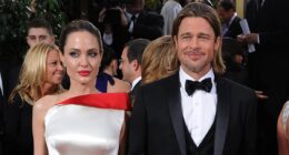 How Brad and Angelina's joint $520M fortune breaks down as bitter eight year divorce battle finally comes to a close after she cashed in her Chateau shares to walk away with extra $62M and all the kids