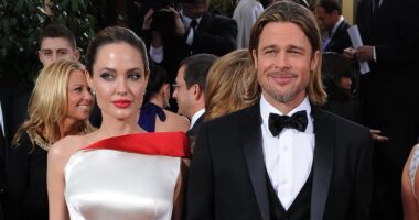 How Brad and Angelina's joint $520M fortune breaks down as bitter eight year divorce battle finally comes to a close after she cashed in her Chateau shares to walk away with extra $62M and all the kids