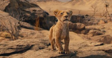 How 'Mufasa' rose with Aaron Pierre and Blue Ivy's voices along with new Lin-Manuel Miranda music