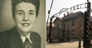 How heroic doc saved thousands of mums from ‘Angel of Death’s’ vile experiments at Auschwitz – but at a horrifying cost