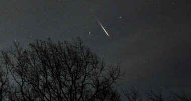 How to catch the Quadrantids, the first meteor shower of 2025