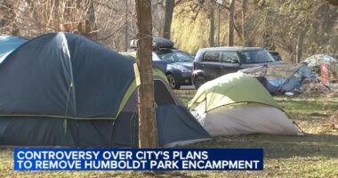 Humboldt Park news: City of Chicago begins clearing homeless encampment near North and California avenues