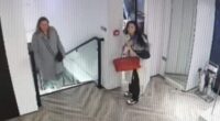 Hunt for mystery female 'thief' who 'snatched influencer's £10,000 Hermès bag' from London boutique - as police finally admit they DID get a report 24 hours after claiming no knowledge