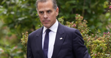 Hunter Biden faces 'real' threat with Trump election: Report