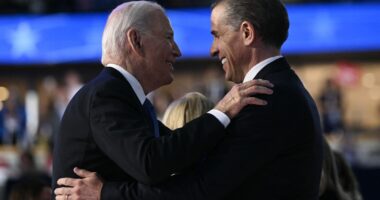 Hunter Biden ‘made surprise guilty plea KNOWING Joe would let him off after pair agreed secret pardon deal months ago’