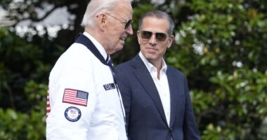 Hunter’s pardon shows Trump was right all along – nobody’s above the law, unless your surname is Biden