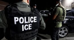 ICE arrests previously caught and released Senegalese illegal immigrant wanted for murder in Brazil