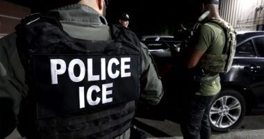 ICE arrests previously caught and released Senegalese illegal immigrant wanted for murder in Brazil