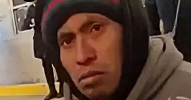 Illegal migrant Sebastian Zapeta-Calil ID’d as suspect in horror NYC subway attack who ‘burned sleeping woman alive’