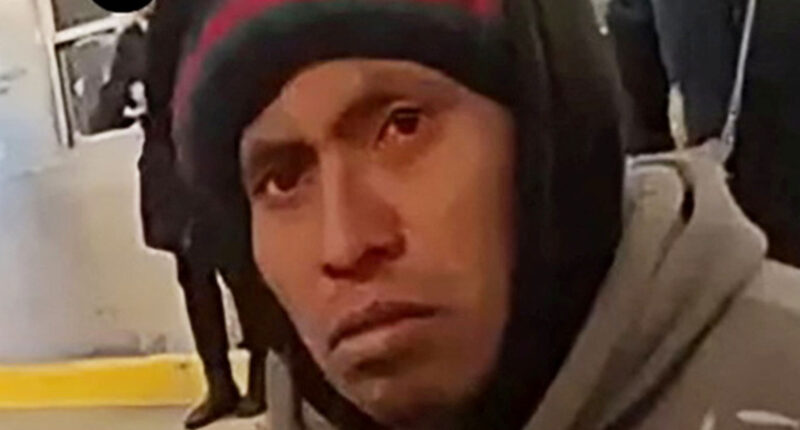 Illegal migrant Sebastian Zapeta-Calil ID’d as suspect in horror NYC subway attack who ‘burned sleeping woman alive’