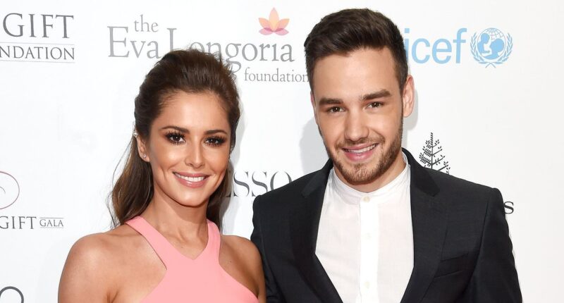 Inside Cheryl and Bear's first Christmas without Liam: Friends reveal how his family are rallying round, the 'great lengths' Cheryl is going to... and what's happened to ex-girlfriend Kate Cassidy, writes KATIE HIND