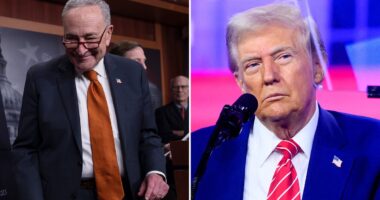 Inside Chuck Schumer's stealth operation to block Trump's MAGA revolution