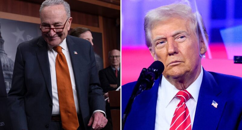 Inside Chuck Schumer's stealth operation to block Trump's MAGA revolution