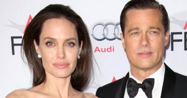 Insiders reveal real reason Brad Pitt wanted to settle bitter divorce battle with Angelina Jolie