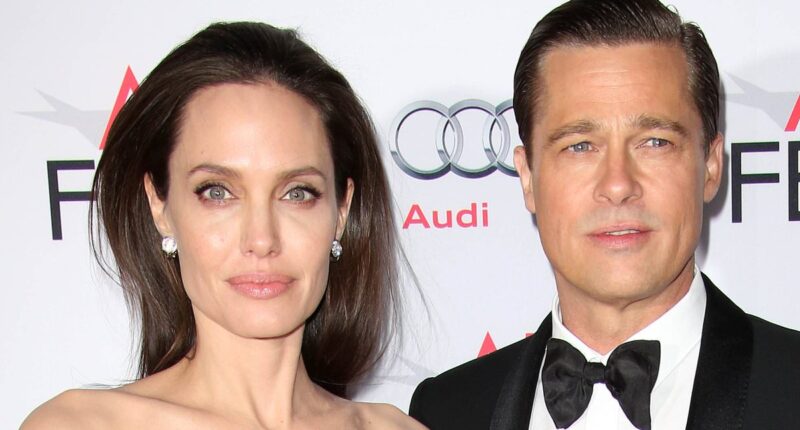 Insiders reveal real reason Brad Pitt wanted to settle bitter divorce battle with Angelina Jolie