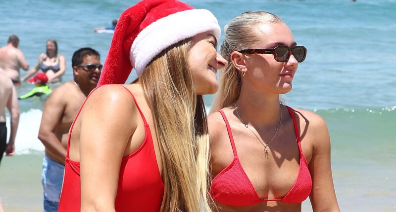 Jaw dropping vision shows thousands of Christmas revellers descend on Bronte beach in Sydney - and locals left to clean up the mess are furious