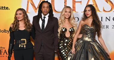 Jay-Z Walks 'Mufasa' Red Carpet With Beyonce and Family Amid Rape Allegations