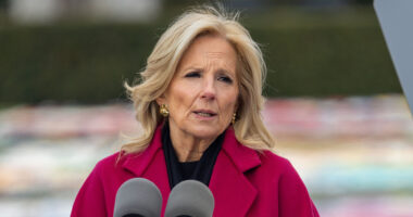 Jill Biden’s White House decorations are slammed as ‘low effort & tacky’ but with a ‘fitting theme’ after Hunter pardon