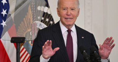 Joe Biden pardons son Hunter over gun and tax charges before leaving the White House despite previously pledging not to